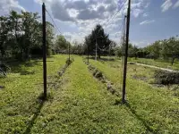 Продам большой дом с двумя входами отдельно и 24 сотки земли, фотография 8