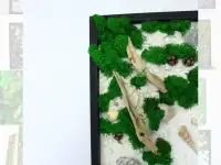 Картины из стабилизированного мха, фотография 3