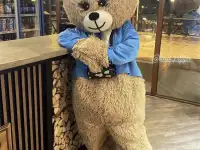 Аниматор ростовых кукол, фотография 2