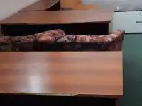 Сдам в аренду, фотография 2