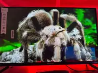 Телевизоры Шымкент, фотография 4