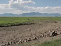 Продам землю 66,5га , 70км от Алматы, фотография 2