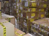 Сток Terranova оптом в Москве, фотография 2