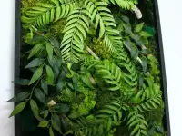 Картины из стабилизированного мха, фотография 3