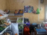 Продается готовый вагончик для бизнеса, фотография 2