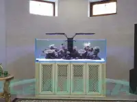 Изготовление аквариумов на заказ, фотография 4