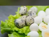 Продам перепелиные яйца, фотография 2