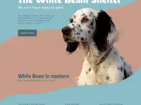 Я UXUI designer. Создам интересный дизайн сайта в Figma для вас, фотография 3