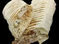 Фастфуд выпечка, фотография 6