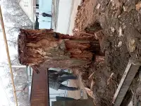 Спил, сруб деревьев, обрезка, кронировка, выкорчевка пней, фотография 7