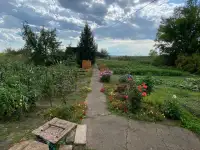 Продается дача, фотография 4