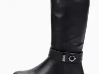 Сапоги t.taccardi