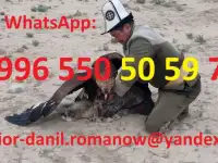 Туризм в Кыргызстане, путешествия, горы, трэки в Киргизии, гид, водитель, туры, фотография 5