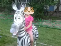 Продажа МАФ, фонтаны, вазоны, клумбы, скамейки, скульптуры садовые, скульптуры животных, фигурки, памятники, бюсты, наци, фотография 7