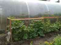 Продам дачу, с/о Урал, за понтонным мостом, фотография 6