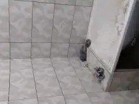 мастер универсал, фотография 5