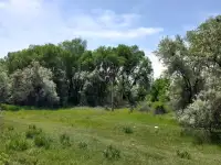 ПРОДАМ ЗЕМЛЮ! СРОЧНО! ТОРГ УМЕСТЕН., фотография 3