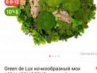 Картина, фотография 6