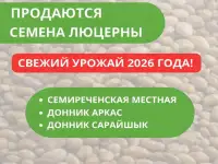 В продаже семена люцерны!, фотография 2