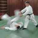 Айкидо Ёсинкан, фотография 2