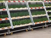 Тележка-трансформер Кабриолет, фотография 4