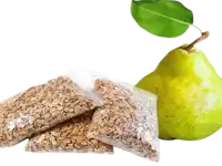 Щепа грушевого дерева