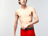 Мужское нижнее бельё lacoste 3 разноцветные пары