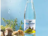 Сотрудничество с цагвери - Грузинской Природной Минеральной Газированной Воды, фотография 2