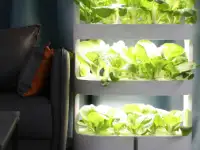 Оборудование для гидропоники, гидропонные установки для растениеводства, фотография 2