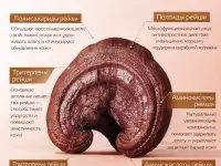 Уходовая косметика Набор с рейши, фотография 3