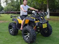 Квадроцикл 250 кубов, фотография 3