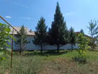 Продамобменяю дом, Мкр учхоз , ул Талдыбулак 9, фотография 3