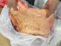 лошади согым, фотография 4