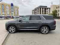Hyundai Palisade 2022, фотография 6