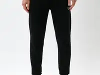 Брюки спортивные ea7