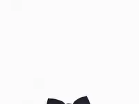 Бабочка acoola