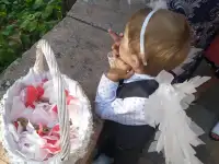 крылья, фотография 3