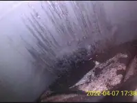 Диагностика двигателя / Эндоскопия Выездной осмотр, фотография 2