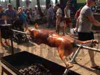 Производство и продажа электро-вертелов, фотография 3