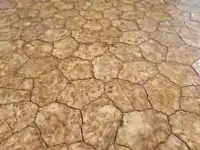 Ищу компаньона или инвестора, фотография 9