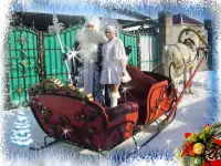 Дед Мороз, фотография 2
