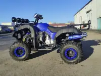 Квадроцикл 125-250 сс, фотография 5