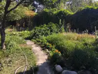 продам дачу из трех комнат в поселке Актас, фотография 5