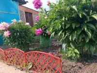 Продам дачу остановка поворотная, фотография 5