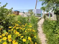 Сдается дача со всеми удобствами всё необходимое естьдла хорошего отдыха, фотография 4