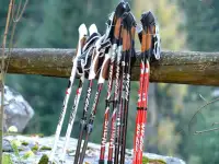 Cертифицированный инструктор по скандинавской ходьбе, фотография 6