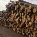 Пиломатериалы из отборных пород древесины
