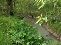 Продажа дачи, фотография 4