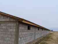 Фазенда (ферма), Капчагай-Курты 25 км, фотография 10