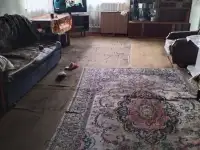 Продам Срочно, Заветная уг Перонная, фотография 2